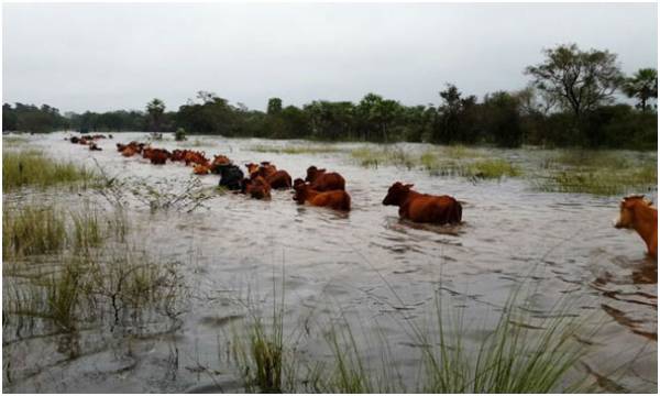 EL COSTO ECONOMICO DEL CAMBIO CLIMATICO