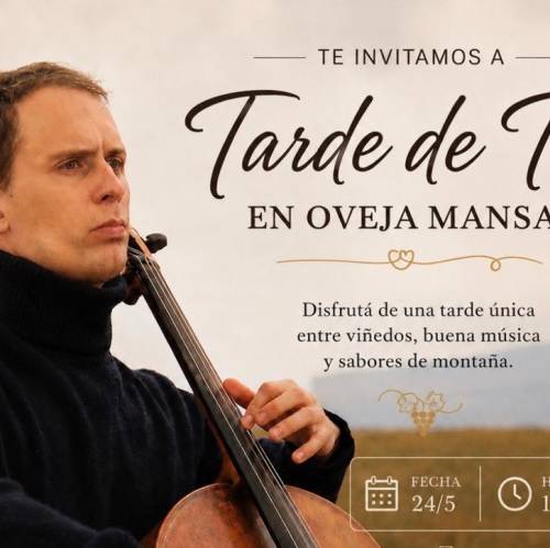 oveja mansa